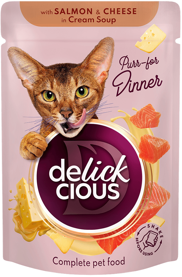 Paski z łososiem i serem w kremowej zupie 